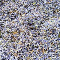 Lavender Buds - 20g