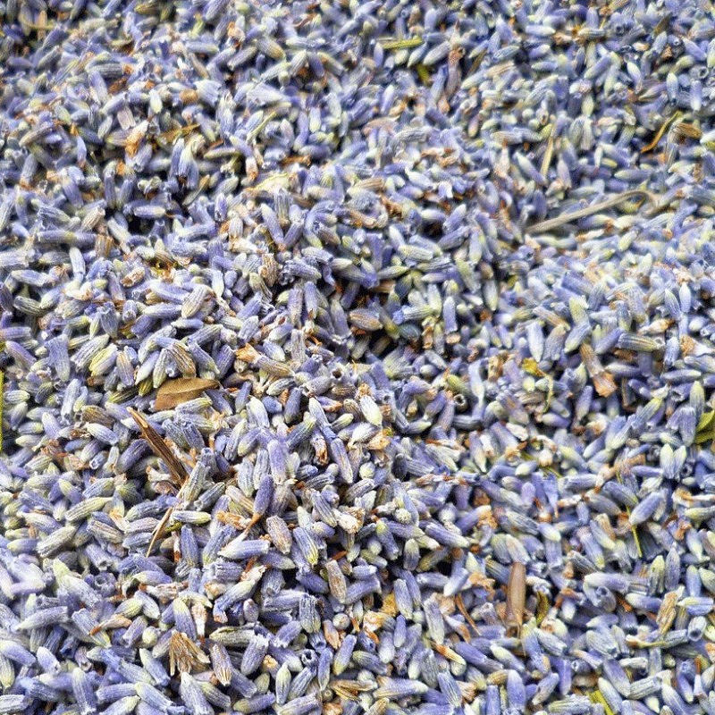 Lavender Buds