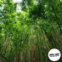 Bamboo & Musk Fragrance Oil - 30ml