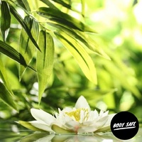 Bamboo & White Lily Fragrance Oil - 100ml