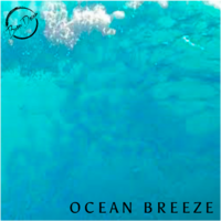 Ocean Breeze Soy Wax Melt