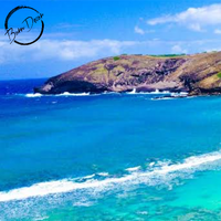 Hawaiian Island Soy Wax Melts