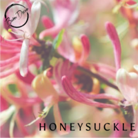Honeysuckle Soy Wax Melt